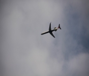 WildlifeWestWoodHills 2014 06 22 001